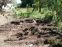 /album/proceso/a100-2006-copiar-jpg/